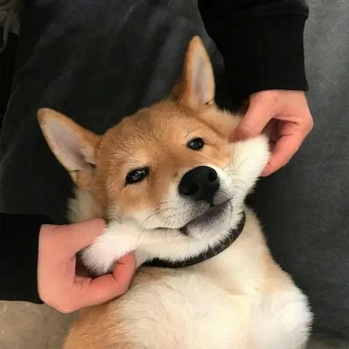 低俗